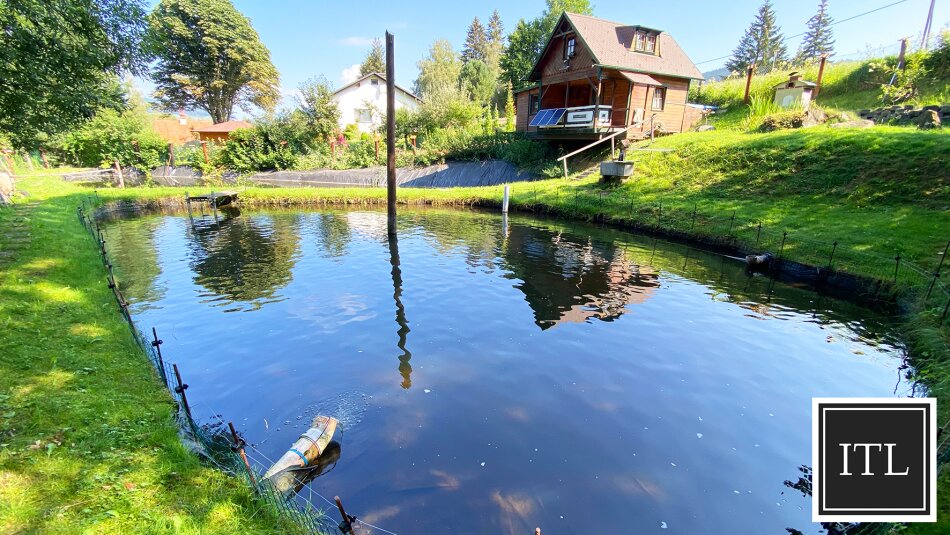 Foto - ***Kaufanbot liegt vor** Obdach: Fischteichanlage mit 2 Teichen und einer Fischerhütte